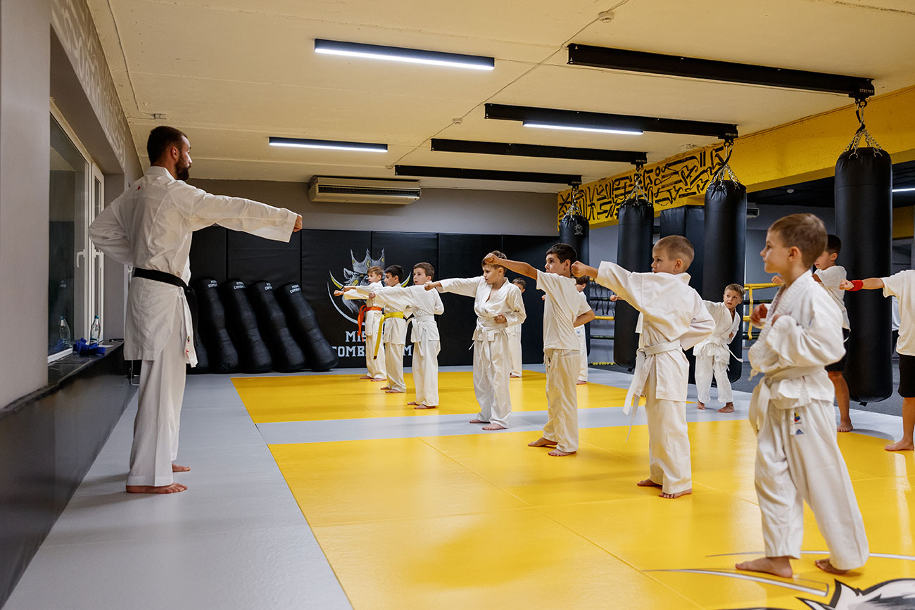 Центр единоборств «MISHKA COMBAT GYM» (Сочи) Центр единоборств «MISHKA COMBAT GYM» (Сочи)
