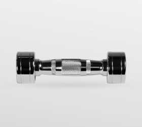 BRONZE GYM BG-PA-DB-C02 Гантель хромированная 2 кг в Краснодаре в магазине SportPanda BRONZE GYM BG-PA-DB-C02 Гантель хромированная 2 кг – фото