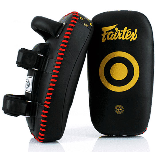 Тайские лапы (пады) Fairtex KPLС-5, облегченные в Краснодаре в магазине SportPanda Тайские лапы (пады) Fairtex KPLС-5, облегченные – фото
