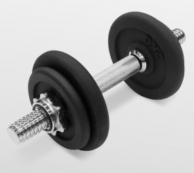Набор гантелей OXYGEN FITNESS DB-SET20 в Краснодаре в магазине SportPanda Набор гантелей OXYGEN FITNESS DB-SET20 – фото