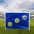 Ворота игровые DFC GOAL150T 150x110x60cm с тентом для отрабатывания ударов в Краснодаре в магазине SportPanda Ворота игровые DFC GOAL150T 150x110x60cm с тентом для отрабатывания ударов – фото
