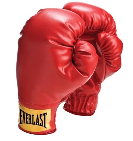Боксерские перчатки Everlast Boxing, красный в Краснодаре в магазине SportPanda Боксерские перчатки Everlast Boxing, красный – фото