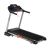 Беговая дорожка DFC SPARKY Pro T635 в Краснодаре в магазине SportPanda Беговая дорожка DFC SPARKY Pro T635 – фото