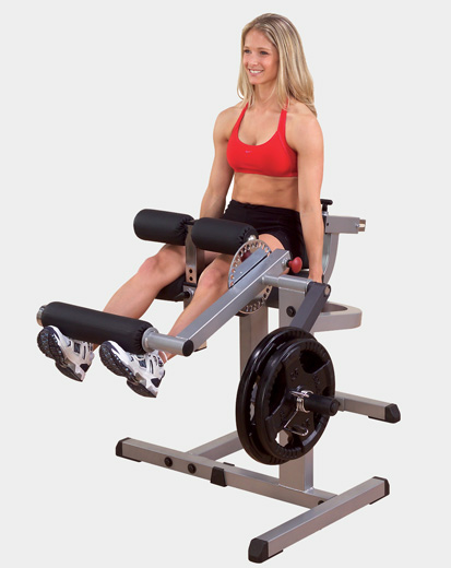 Сгибание-разгибание ног Body Solid GCEC-340 в Краснодаре в магазине SportPanda Сгибание-разгибание ног Body Solid GCEC-340 – фото
