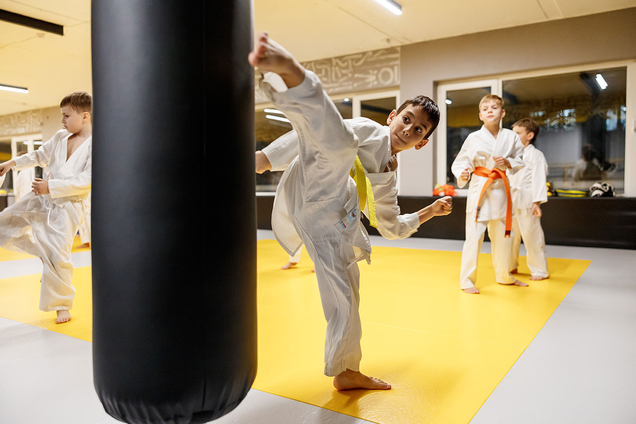 Центр единоборств «MISHKA COMBAT GYM» (Сочи) Центр единоборств «MISHKA COMBAT GYM» (Сочи)