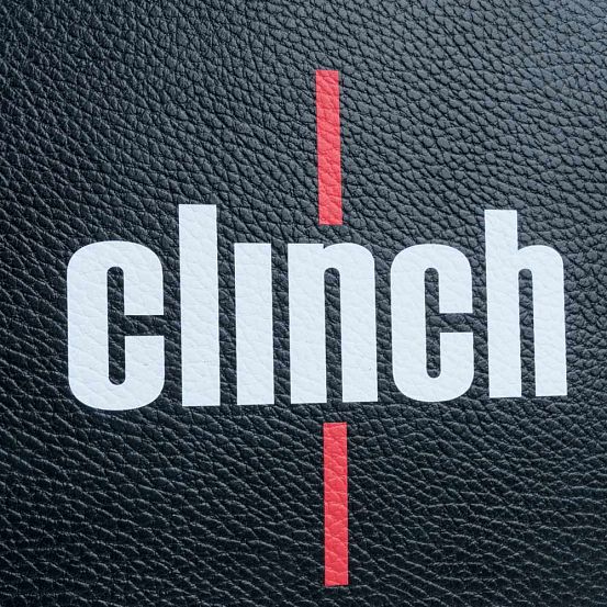 Подушка тренерская CLINCH LEATHER в Краснодаре в магазине SportPanda Подушка тренерская CLINCH LEATHER – фото