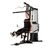 Силовой комплекс DFC HomeGym D5125 в Краснодаре в магазине SportPanda Силовой комплекс DFC HomeGym D5125 – фото
