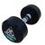 Гантели DFC POWERGYM, 2 шт. по 10 кг в Краснодаре в магазине SportPanda Гантели DFC POWERGYM, 2 шт. по 10 кг – фото