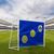 Ворота игровые DFC GOAL150T 150x110x60cm с тентом для отрабатывания ударов в Краснодаре в магазине SportPanda Ворота игровые DFC GOAL150T 150x110x60cm с тентом для отрабатывания ударов – фото