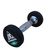 Гантели DFC POWERGYM, 2 шт. по 1 кг в Краснодаре в магазине SportPanda Гантели DFC POWERGYM, 2 шт. по 1 кг – фото