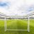 Ворота игровые DFC GOAL120T 120x80x55cm с тентом для отрабатывания ударов в Краснодаре в магазине SportPanda Ворота игровые DFC GOAL120T 120x80x55cm с тентом для отрабатывания ударов – фото