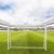 Ворота игровые DFC GOAL120 120x80x55cm в Краснодаре в магазине SportPanda Ворота игровые DFC GOAL120 120x80x55cm – фото