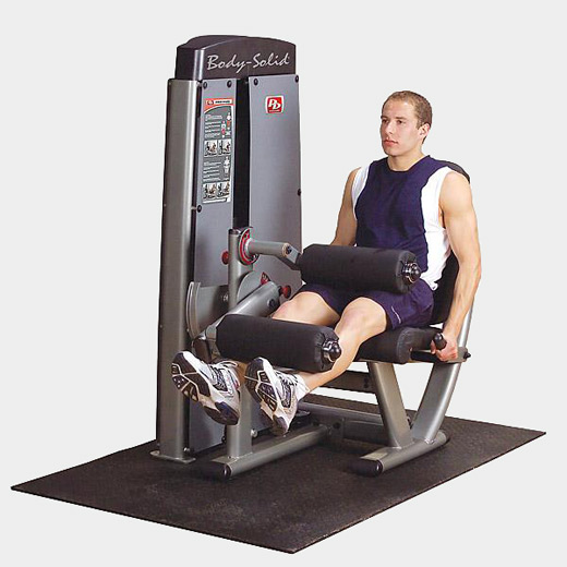 Сгибание-разгибание ног Body Solid ProDual DLEC-SF в Краснодаре в магазине SportPanda Сгибание-разгибание ног Body Solid ProDual DLEC-SF – фото