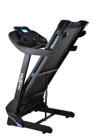 Беговая дорожка Proxima Felicia II PROT-221, электрическая, домашняя в Краснодаре в магазине SportPanda Беговая дорожка Proxima Felicia II PROT-221, электрическая, домашняя – фото
