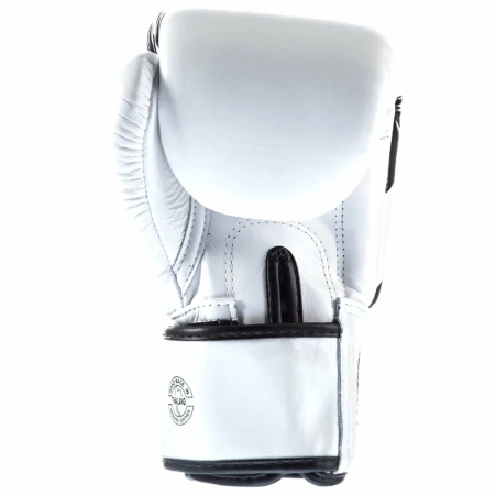 Боксерские перчатки Fairtex BGV1 Nation Print, тренировочные, белый в Краснодаре в магазине SportPanda Боксерские перчатки Fairtex BGV1 Nation Print, тренировочные, белый – фото