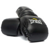 Снарядные перчатки Everlast Protex2, чёрный в Краснодаре в магазине SportPanda Снарядные перчатки Everlast Protex2, чёрный – фото