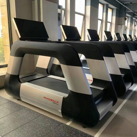 Профессиональная беговая дорожка DHZ X-8900PA, электрическая в Краснодаре в магазине SportPanda Профессиональная беговая дорожка DHZ X-8900PA, электрическая – фото