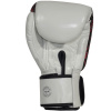Боксерские перчатки Fairtex BGV24 Beauty of Survival, в подарочной упаковке в Краснодаре в магазине SportPanda Боксерские перчатки Fairtex BGV24 Beauty of Survival, в подарочной упаковке – фото