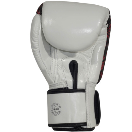 Боксерские перчатки Fairtex BGV24 Beauty of Survival, в подарочной упаковке в Краснодаре в магазине SportPanda Боксерские перчатки Fairtex BGV24 Beauty of Survival, в подарочной упаковке – фото