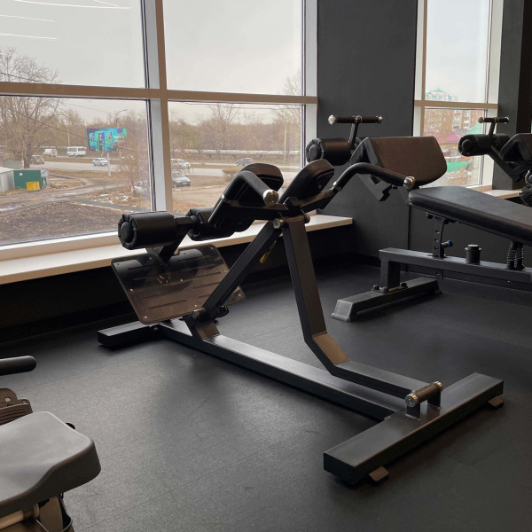 Гиперэкстензия (Back Extension) E-7045 в Краснодаре в магазине SportPanda Гиперэкстензия (Back Extension) E-7045 – фото