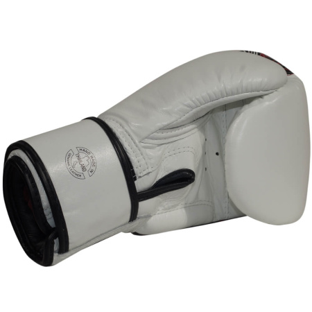 Боксерские перчатки Fairtex BGV24 Beauty of Survival, в подарочной упаковке в Краснодаре в магазине SportPanda Боксерские перчатки Fairtex BGV24 Beauty of Survival, в подарочной упаковке – фото