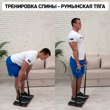 Гриф для штанги STECTER Resistance Bar BOX, с резиновыми петлями в Краснодаре в магазине SportPanda Гриф для штанги STECTER Resistance Bar BOX, с резиновыми петлями – фото