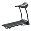 Беговая дорожка ROYAL Fitness RF-7, электрическая, домашняя в Краснодаре в магазине SportPanda Беговая дорожка ROYAL Fitness RF-7, электрическая, домашняя – фото