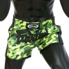 Шорты для тайского бокса Fairtex BS-1710 Como Green в Краснодаре в магазине SportPanda Шорты для тайского бокса Fairtex BS-1710 Como Green – фото