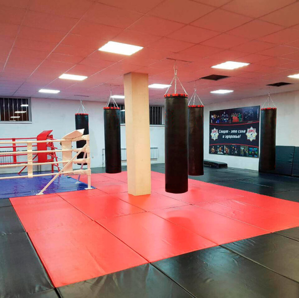  Маты спортивные (ППЭ) SportPanda, аналог татами, 40 мм, липучка
