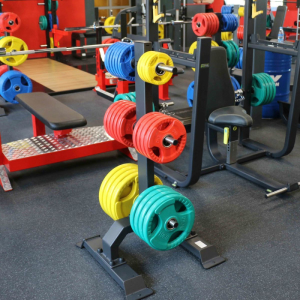 Диск обрезиненный 3 HANDLE, 5 кг / 51 мм, цветной в Краснодаре в магазине SportPanda Диск обрезиненный 3 HANDLE, 5 кг / 51 мм, цветной – фото