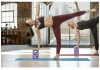 Кирпич для йоги с прорезями Reebok RAYG-10035PL, фиолетовый в Краснодаре в магазине SportPanda Кирпич для йоги с прорезями Reebok RAYG-10035PL, фиолетовый – фото