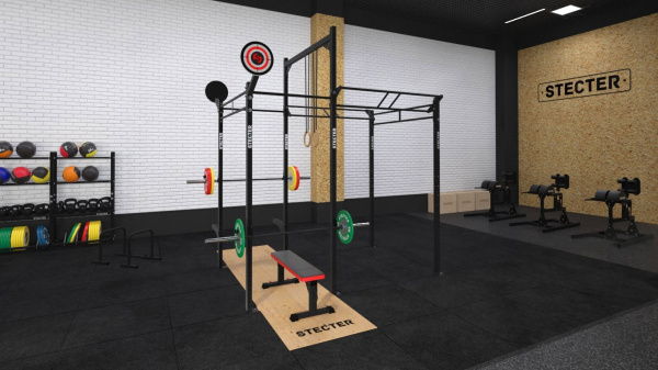 Функциональная рама STECTER 2900х1800, H=3660 мм в Краснодаре в магазине SportPanda Функциональная рама STECTER 2900х1800, H=3660 мм – фото