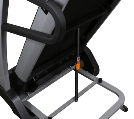 Беговая дорожка SVENSSON BODY LABS  ENTERPRISE MUSE, электрическая, для дома – фото