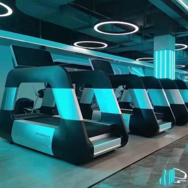 Профессиональная беговая дорожка DHZ X-8900PA, электрическая в Краснодаре в магазине SportPanda Профессиональная беговая дорожка DHZ X-8900PA, электрическая – фото