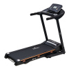 Беговая дорожка ROYAL Fitness, для дома, электрическая, домашняя в Краснодаре в магазине SportPanda Беговая дорожка ROYAL Fitness, для дома, электрическая, домашняя – фото