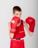 Боксерские перчатки BoyBo Basic BBG100, тренировочные, красный в Краснодаре в магазине SportPanda Боксерские перчатки BoyBo Basic BBG100, тренировочные, красный – фото