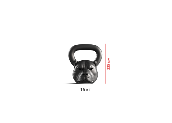 Гиря дизайнерская IRON HEAD «Питбуль», 16 кг, чугун в Краснодаре в магазине SportPanda Гиря дизайнерская IRON HEAD «Питбуль», 16 кг, чугун – фото