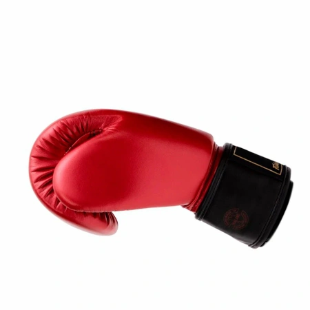 Боксерские перчатки Fairtex BGV Premium Gold Jubilee, в подарочной упаковке в Краснодаре в магазине SportPanda Боксерские перчатки Fairtex BGV Premium Gold Jubilee, в подарочной упаковке – фото