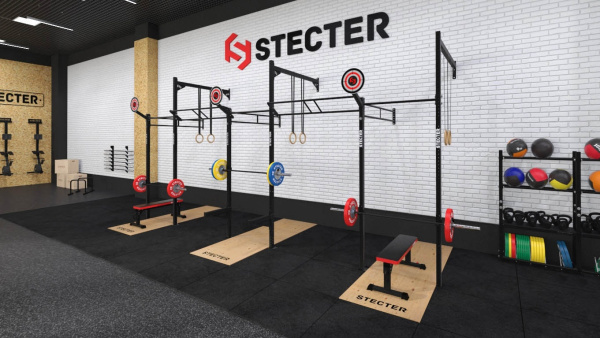Пристенная функциональная рама STECTER 6900х1800, H=3660 мм в Краснодаре в магазине SportPanda Пристенная функциональная рама STECTER 6900х1800, H=3660 мм – фото