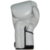 Боксерские перчатки Fairtex BGV6 Angular Sparring Gloves, тренировочные, белый в Краснодаре в магазине SportPanda Боксерские перчатки Fairtex BGV6 Angular Sparring Gloves, тренировочные, белый – фото
