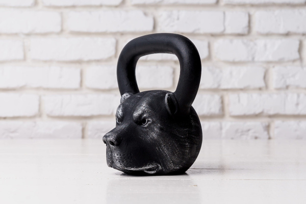 Гиря дизайнерская IRON HEAD «Питбуль», 16 кг, чугун в Краснодаре в магазине SportPanda Гиря дизайнерская IRON HEAD «Питбуль», 16 кг, чугун – фото