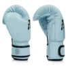 Боксерские перчатки Fairtex BGV20, женские, тренировочные, голубой в Краснодаре в магазине SportPanda Боксерские перчатки Fairtex BGV20, женские, тренировочные, голубой – фото