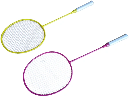 Набор для игры в бадминтон Proxima TF-BM0 в Краснодаре в магазине SportPanda Набор для игры в бадминтон Proxima TF-BM0 – фото