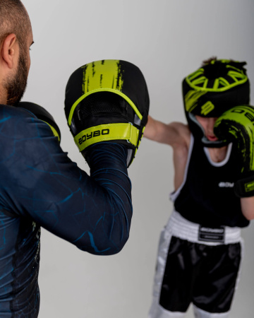 Лапы боксерские BoyBo Stain BPS450, чёрно-зелёный в Краснодаре в магазине SportPanda Лапы боксерские BoyBo Stain BPS450, чёрно-зелёный – фото