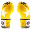 Боксерские перчатки Fairtex BGV1 Nation Print, тренировочные, жёлтый в Краснодаре в магазине SportPanda Боксерские перчатки Fairtex BGV1 Nation Print, тренировочные, жёлтый – фото