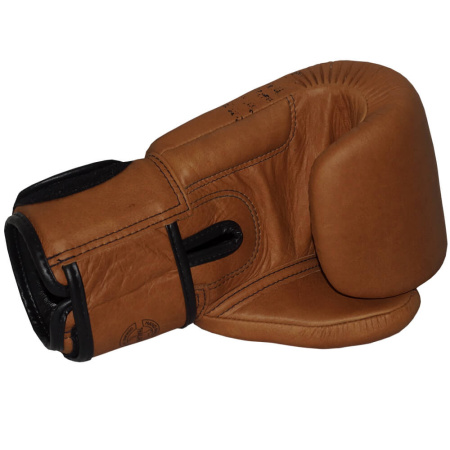 Боксерские перчатки Fairtex BGV21 LEGACY, в подарочной упаковке в Краснодаре в магазине SportPanda Боксерские перчатки Fairtex BGV21 LEGACY, в подарочной упаковке – фото
