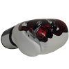 Боксерские перчатки Fairtex BGV24 Beauty of Survival, в подарочной упаковке в Краснодаре в магазине SportPanda Боксерские перчатки Fairtex BGV24 Beauty of Survival, в подарочной упаковке – фото