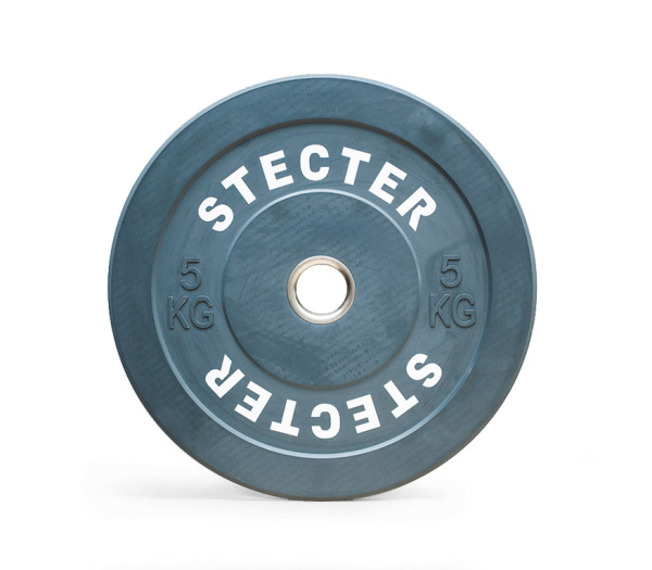 Диск тренировочный STECTER, 5 кг, серый в Краснодаре в магазине SportPanda Диск тренировочный STECTER, 5 кг, серый – фото